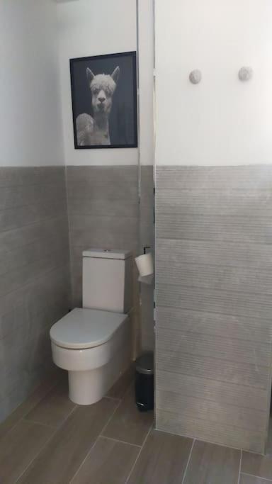 Apartamento Laurana Santander Exterior photo